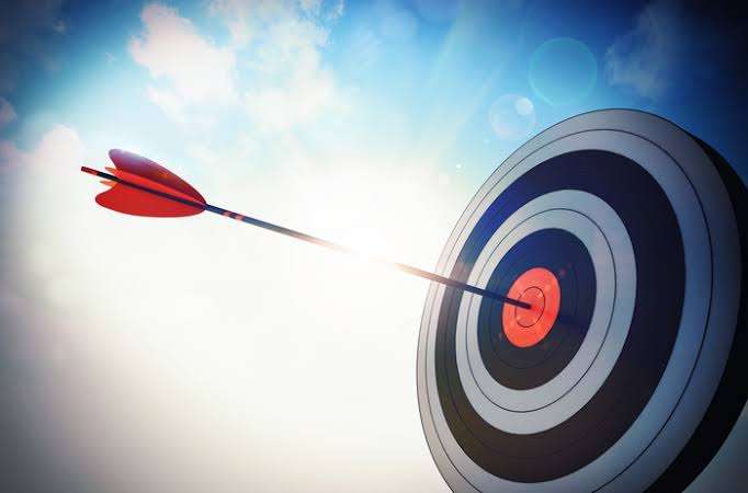How to Guide: use Winrate and Bid adjustemnt - Pushub